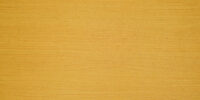 TT 1001 AC - RIPPLE BEECH
