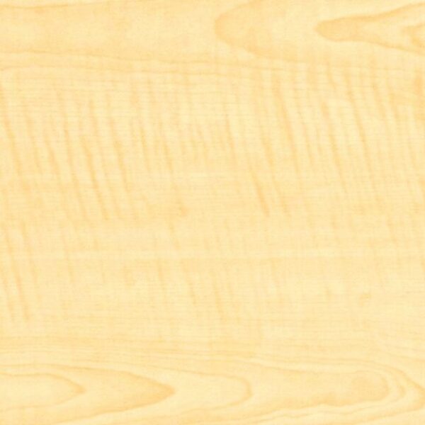 TT 1061 AC - FRENCH SYCAMORE