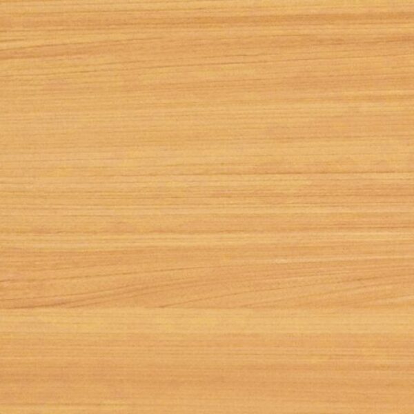TT 1062 AC - CLASSIC ELM