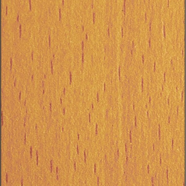 TT 1025 AB - BEECH