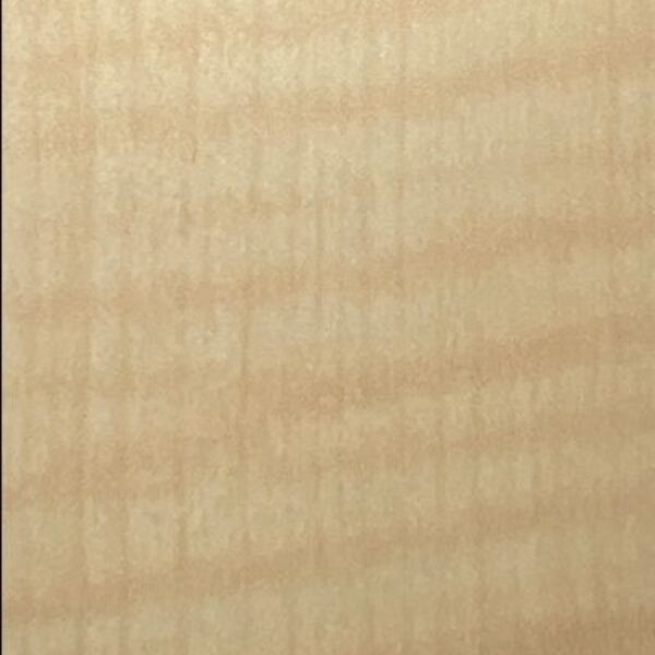 TT 1061 AC - FRENCH SYCAMORE