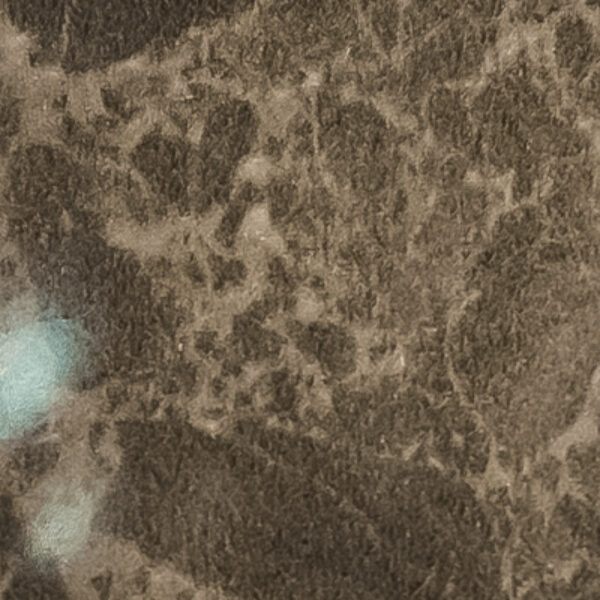 TT 2006 AD - BRECCIA PACIFICA