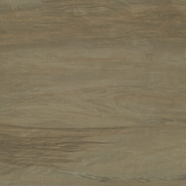 TT 1029 AC - PALE MAPLE