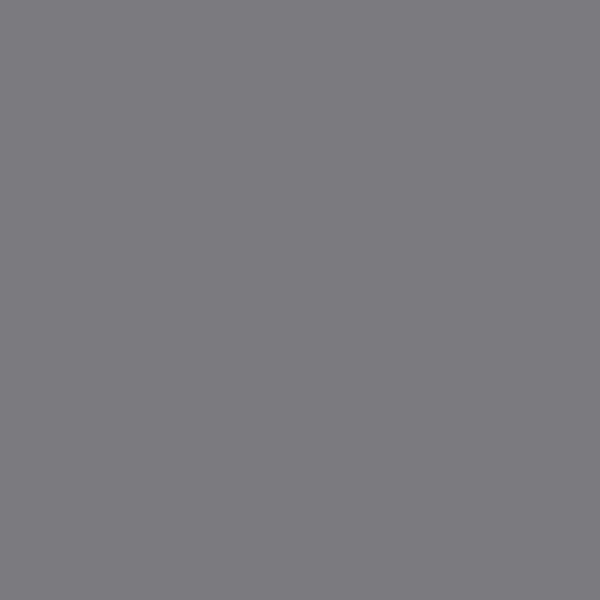 TT 0022 G - SMOKE GREY GLOSSY