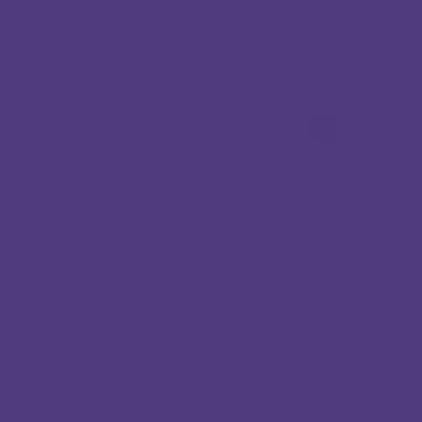 TT 0027 G - PURPLE GLOSSY