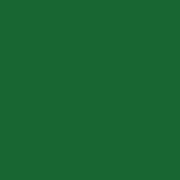 TT 0031 M - MARINA GREEN MATTE