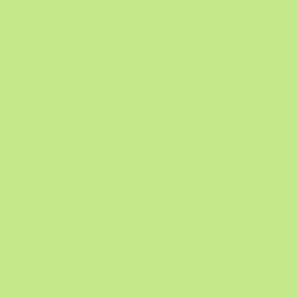 TT 0038 M - LIME GREEN MATE