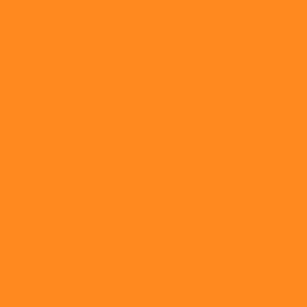 TT 0045 M - CLASSIC ORANGE MATTE