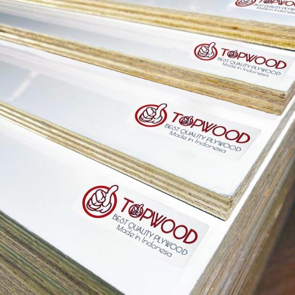 TRIPPOL TOPWOOD DOUBLE FACE GLOSSY