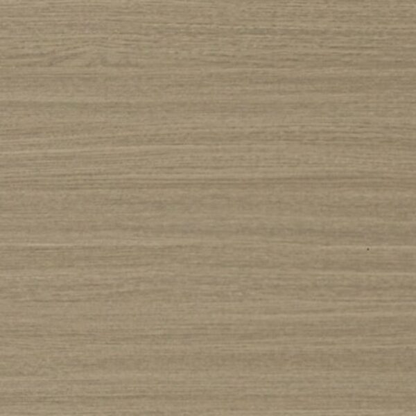 TT 1005 AE - PALM BAR ASH