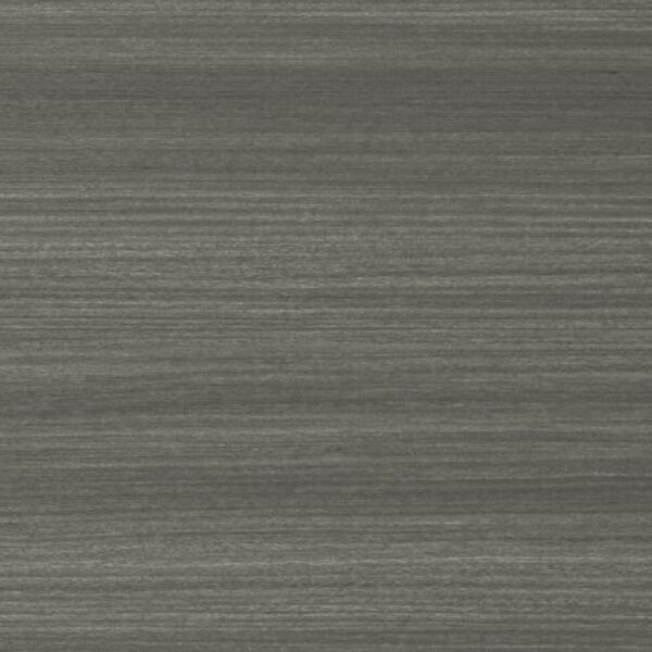 TT 1007 AD - IRON GRAY EUGALUS