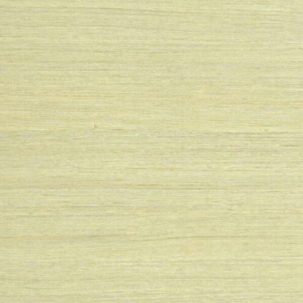 TT 1062 AB - PEIN WOOD-2