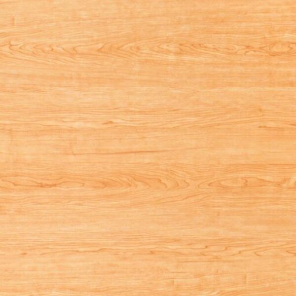 TT 1079 AC - SHINING MAPLE