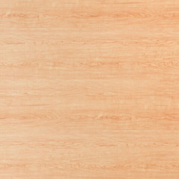 TT 1079 AC - SHINING MAPLE