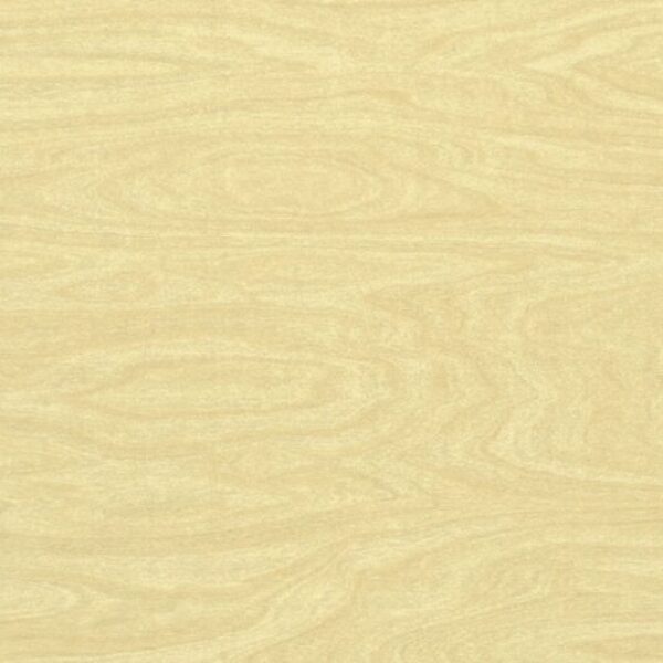 TT 1084 AC - PRIMARY COLOR CIRCH
