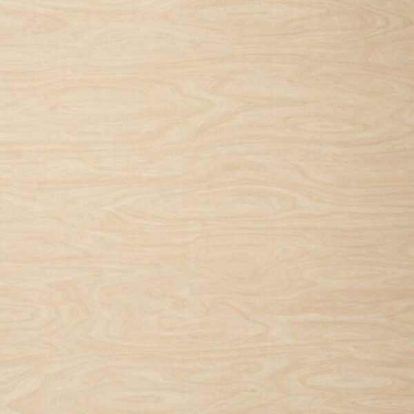 TT 1084 AC - PRIMARY COLOR CIRCH