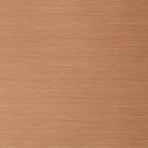 TT 1086 AC - SUBTROPICAL OAK