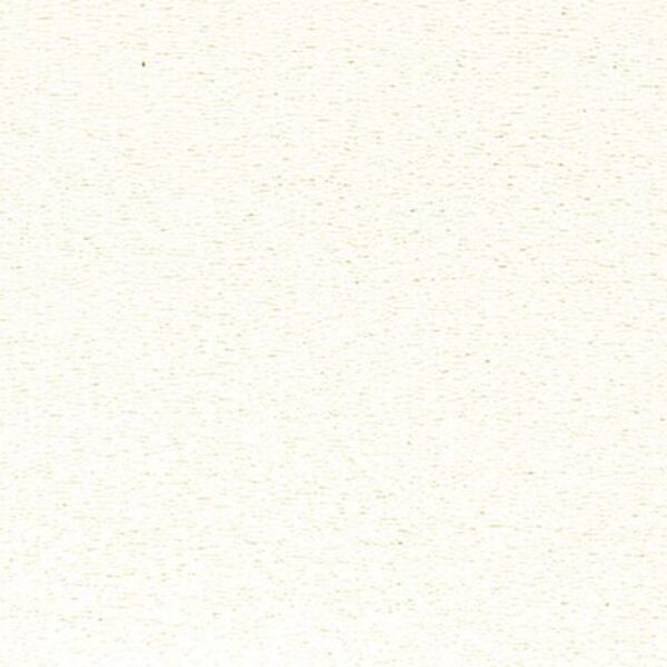 TT 3019 AC - BRIGHT WHITE