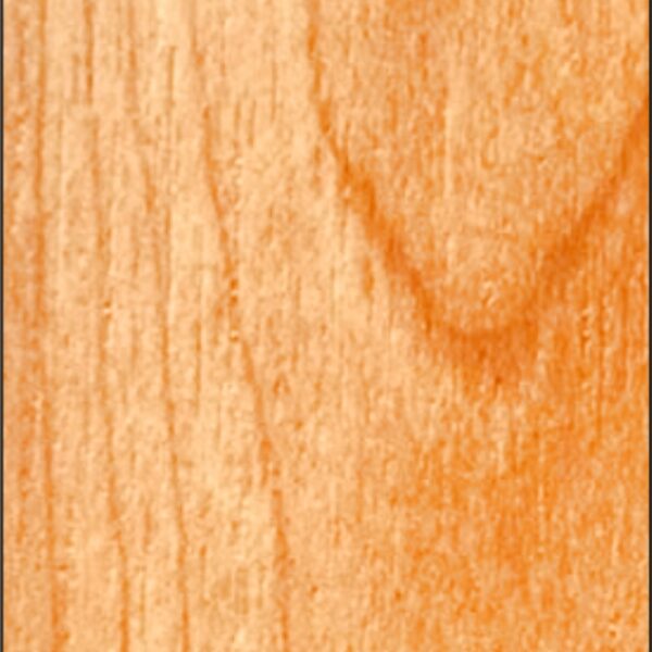 TT 1079 AC - SHINING MAPLE